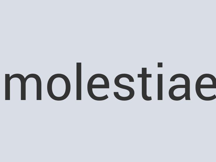 Aerodynamic Bronze Magellanic Penguin