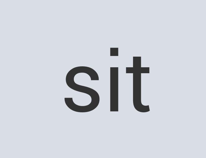 Aerodynamic Bronze Magellanic Penguin